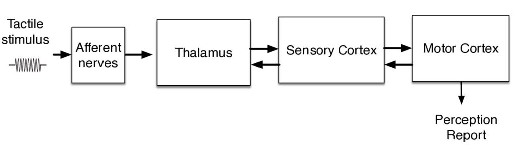 Information_flow_bis